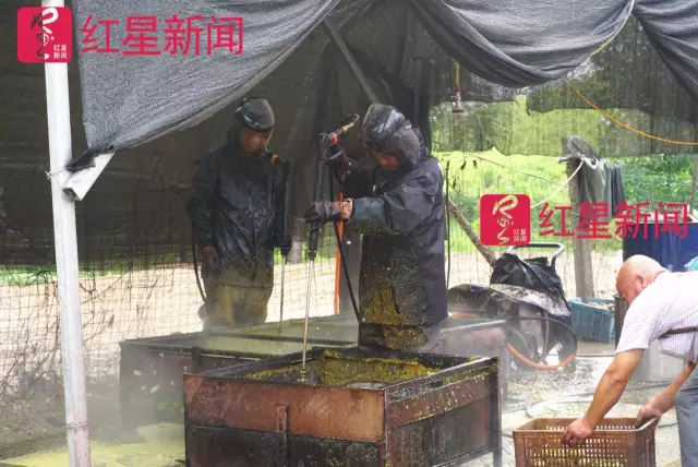 文玩核桃遇冷由幾萬一對(duì)降到5元沒人要？商戶否認(rèn)