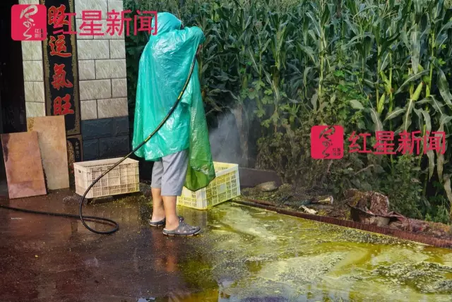文玩核桃遇冷由幾萬一對(duì)降到5元沒人要？商戶否認(rèn)