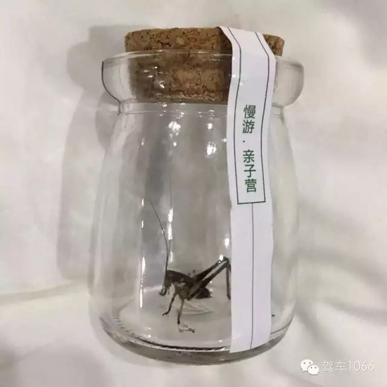 看看我的成果吧！