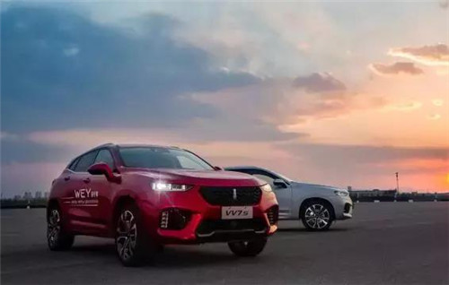 去年“蹦”出來(lái)的新汽車品牌們，現(xiàn)在活得怎么樣了？