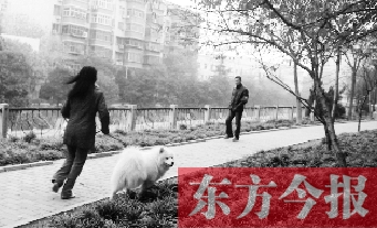 12月3日，鄭州市南關(guān)街熊兒河旁，一名遛狗的女子見到執(zhí)法人員檢查，迅速跑開