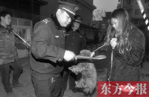 12月3日早上6點(diǎn)半，鄭州市南關(guān)街熊兒河旁，南關(guān)街辦事處的執(zhí)法人員對狗進(jìn)行排查