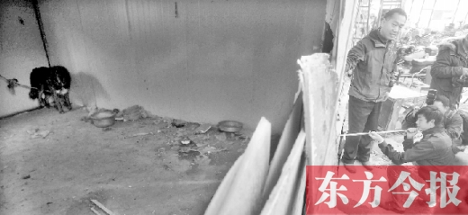 12月4日，鄭州市未來路與隴海路交叉口西側(cè)，執(zhí)法人員用吹管麻醉針對付一只藏獒