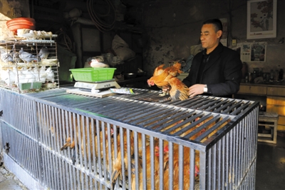 南京另一家農(nóng)貿(mào)市場(chǎng)內(nèi)待售的活雞。因南京出現(xiàn)H7N9禽流病例，買(mǎi)活雞的顧客減少。