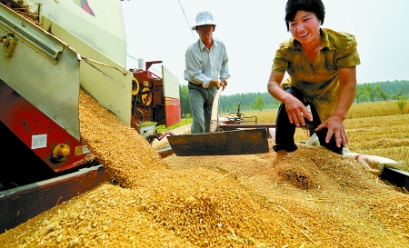 6月3日， 濮陽開發(fā)區(qū)胡村鄉(xiāng)后范莊村的續(xù)秀萍看著新打的粒大飽滿的小麥喜上眉梢。