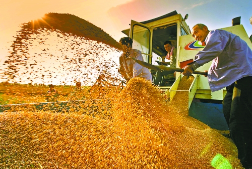 根據(jù)國家統(tǒng)計(jì)局核定結(jié)果，我省2012年糧食總產(chǎn)量達(dá)到1127.72億斤，成為第9個(gè)連續(xù)增產(chǎn)年份。