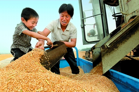 5月27日，確山縣劉店鎮(zhèn)前槽村郭景蓮和小孫子一起收獲小麥，豐收的喜悅寫在了臉上。