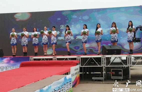 2016中國(guó)·開(kāi)封——杏花營(yíng)西瓜節(jié)隆重開(kāi)幕