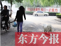 啟明一巷內(nèi)，一名女子帶著狗狗去買菜。狗隨地大小便，狗的主人未制止