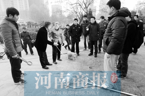 一只辦過狗證的小白狗，因為沒有拴犬鏈，被執(zhí)法人員暫扣