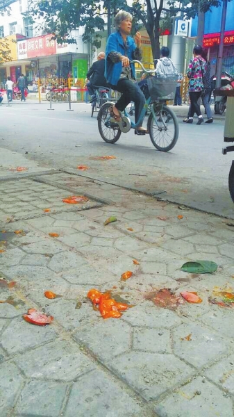爛了一地的柿子影響市容，還常?；谷恕? width=
