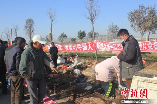 圖為百余名愛狗人士把老李的貨車攔截，數(shù)十人正在從貨車上卸下裝滿狗的鐵籠。　馬義恒　攝