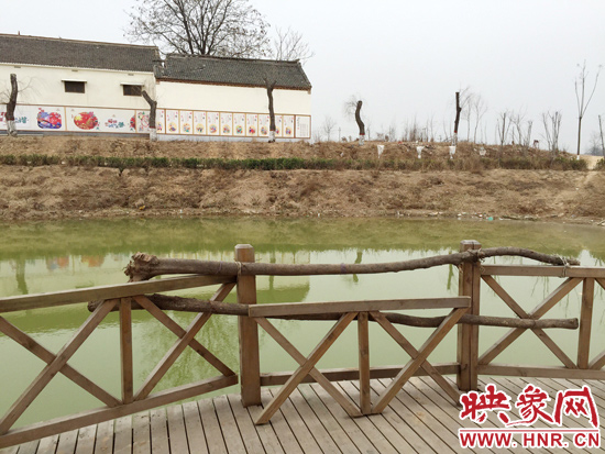 護(hù)欄損毀的地方，已經(jīng)被兩根樹(shù)干擋住。