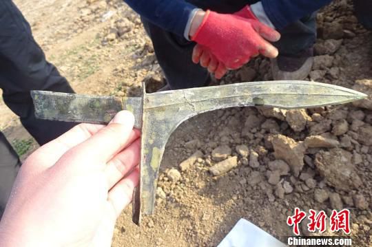 河南發(fā)掘戰(zhàn)國至東漢墓葬群 出土罕見青銅劍、戈（圖）