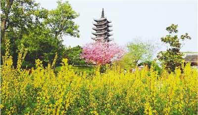 綠博園盛開的鮮花“期待”和市民“約會(huì)”。