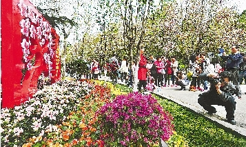 市民紛紛將鏡頭對(duì)準(zhǔn)花叢。