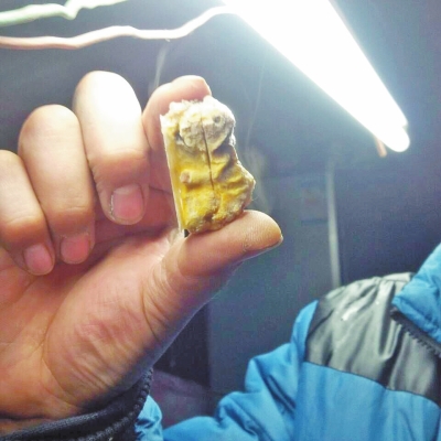 男子殺只弱公雞發(fā)現金黃肉疙瘩 疑為高價“雞寶”