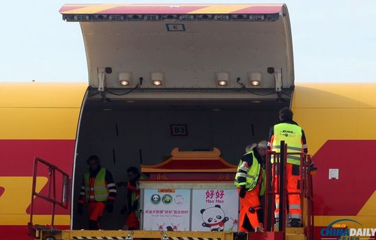 大熊貓“好好”抵達布魯薩爾國際機場。記者 付敬 攝