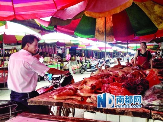  昨日，玉林垌口市場(chǎng)，一位市民在購(gòu)買狗肉。