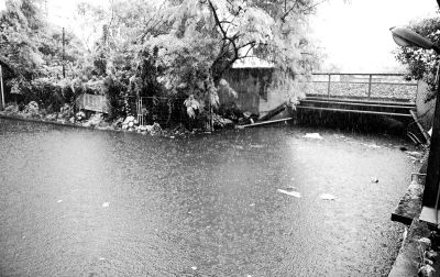 白云區(qū)棠樂路通往石槎路的一個鐵路橋底涵洞常被暴雨積水淹沒?！缎畔r報》供圖
