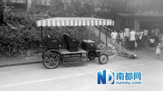 園方則稱解剖后發(fā)現(xiàn)馬死于心臟衰竭，“與累無關”。
