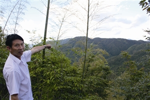 村民吳學(xué)田告訴記者，對(duì)面兩座山就是潘建友承包的部分山場(chǎng) 見(jiàn)習(xí)記者 邱一文 攝