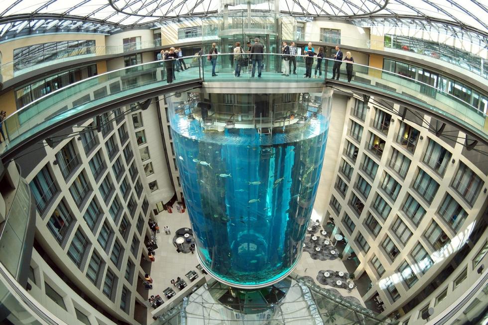 在圓柱水族館主體下方，還有一些別的展館。