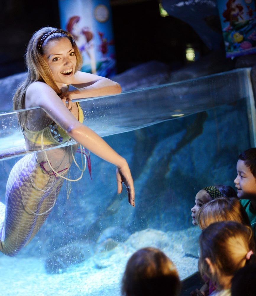 德國女演員安妮·門登在水族館里客串了一把“美人魚”，順便為她的電影《小美人魚》做宣傳。