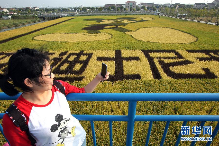 10月25日，游客在觀景臺上觀賞“米老鼠”稻田畫。
