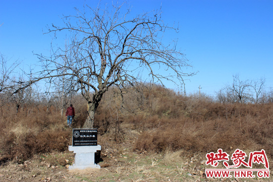 在叔齊墓的前面，豎著新鄭市人民政府今年剛立的石碑，上面寫(xiě)著“新鄭市文物保護(hù)單位”。