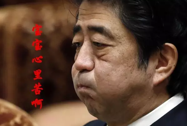 這種看安倍“熱鬧”的事兒，環(huán)環(huán)絕不私藏，一定雨露均沾!