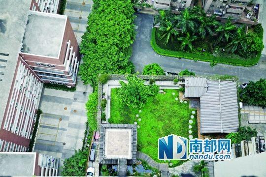 中旅商務(wù)大廈的“空中花園”。