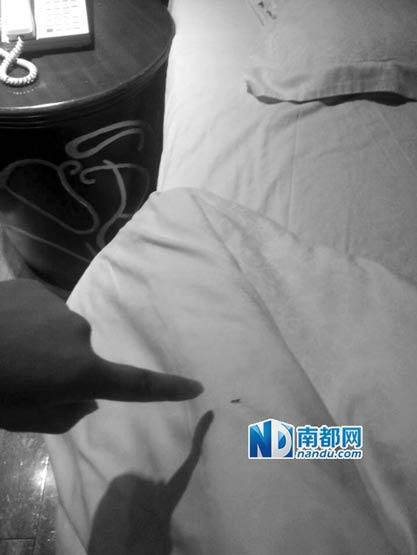 女子住四星酒店被蟲咬索賠遭拒 酒店：蟲子沒(méi)毒