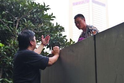 黃主任站在獨(dú)木樁上與男子交談了近半小時(shí)。