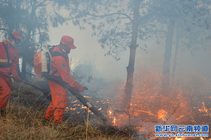 云南呈貢發(fā)生森林火情 950多人全力撲救