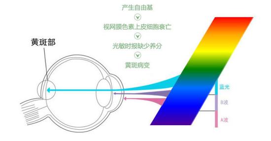 真能亮瞎眼？如何減少手機(jī)對(duì)眼睛的傷害