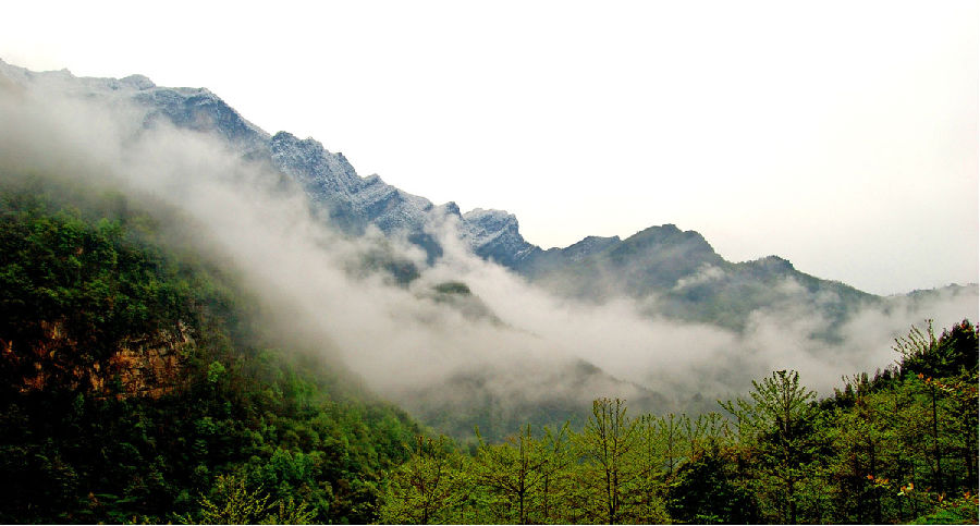 21℃的清涼欒川對(duì)全國(guó)大學(xué)生免門(mén)票 21℃的清涼欒川對(duì)全國(guó)大學(xué)生免門(mén)票