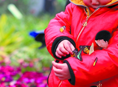 鄭州動(dòng)物園門票調(diào)整為30元