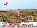 新修馬路種黃豆  如此做法為哪般？