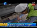 司機自制魔術(shù)號牌被逮
