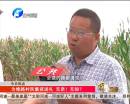 河南周口上百戶村民為求領(lǐng)導修路集資行賄
