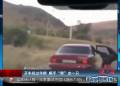 開(kāi)車(chē)經(jīng)過(guò)羊群 順手“牽”走一只