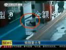 高速邊苦等十三天 主人你在哪里？