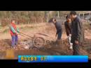 兩會(huì)大參考：農(nóng)民“職業(yè)化”實(shí)現(xiàn)增收