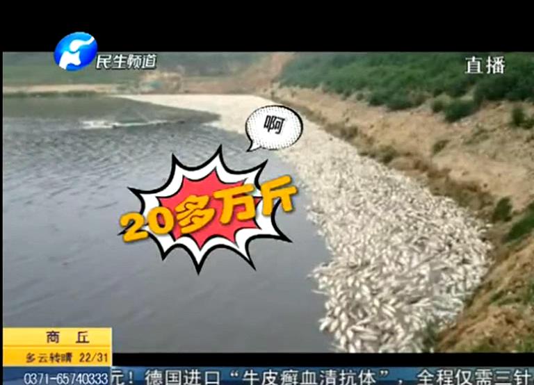 20萬(wàn)斤魚(yú)翻肚因缺氧？