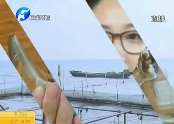 陽澄湖大閘蟹？假的！