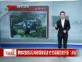 攀枝花發(fā)現2億年前怪獸足跡 在它面前恐龍只是“點心”