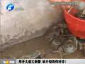鄭開大道大閘蟹 缺斤短兩何時休？