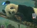 鄭州動物園被暫停引進(jìn)珍稀動物