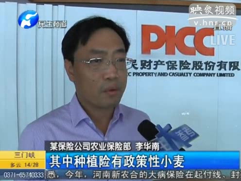 冰雹惹禍 損失能索賠嗎？